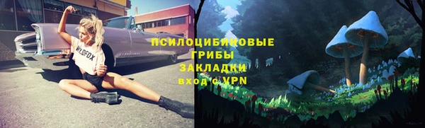 МДПВ Алзамай