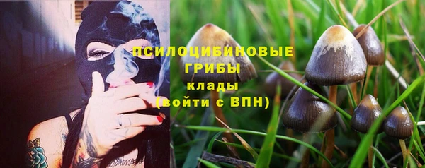 МДПВ Алзамай